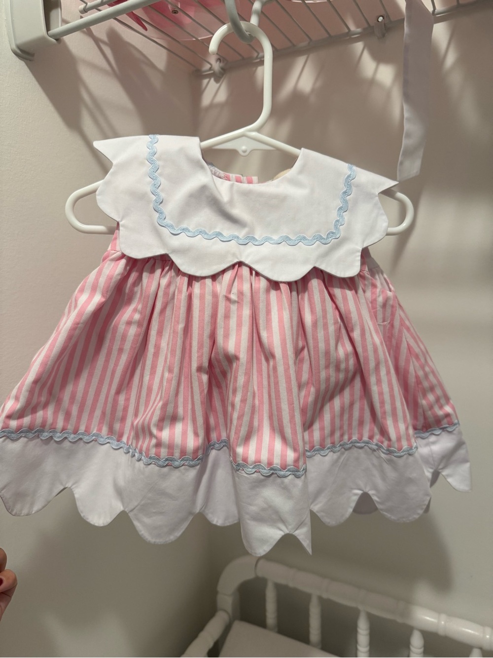 TBBC Sydney Scallop Set